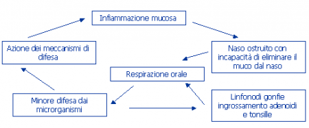 grafico
